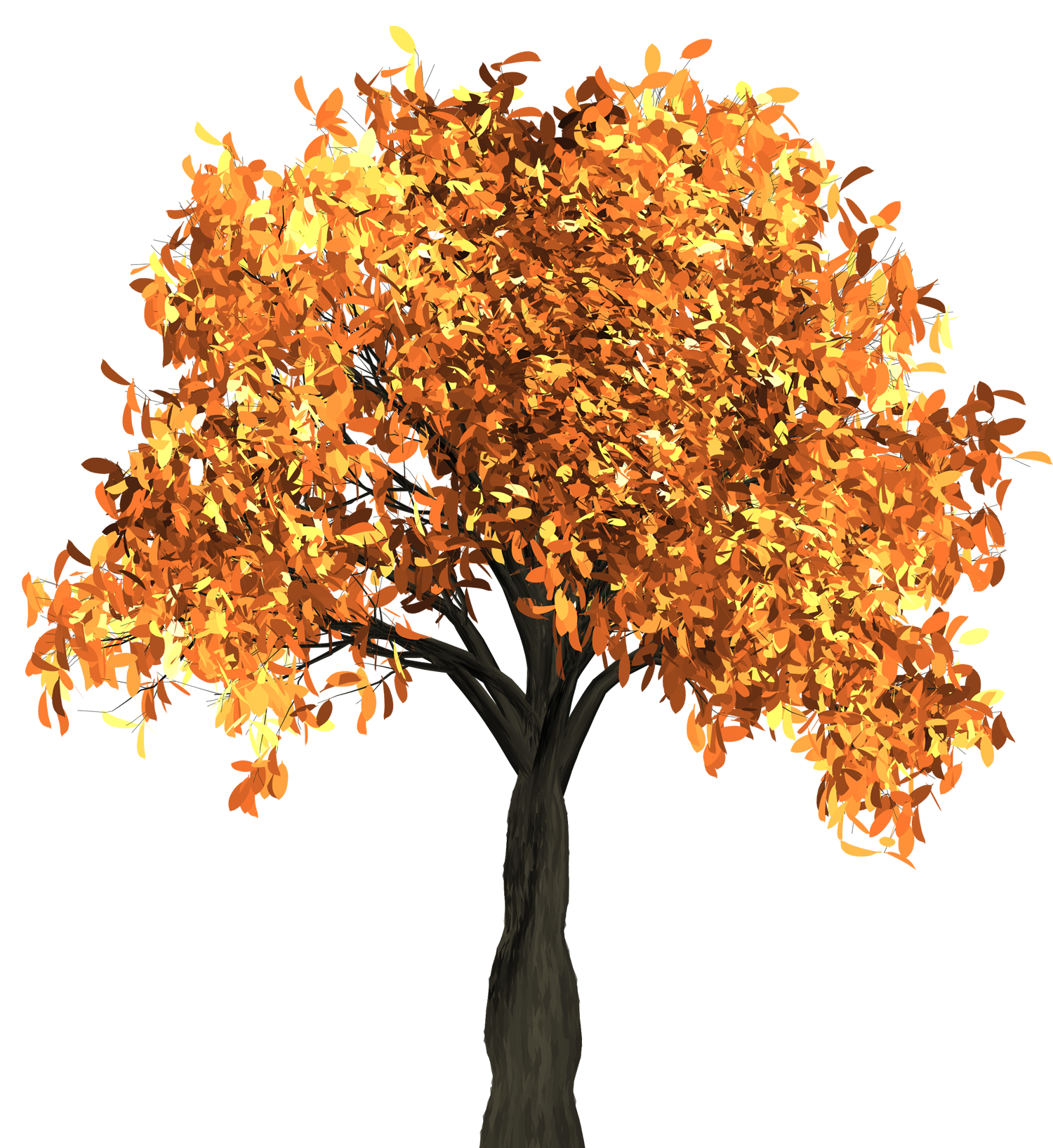 Maple Tree Png Transparent Background 1500x1635px Filesize 2035832kb