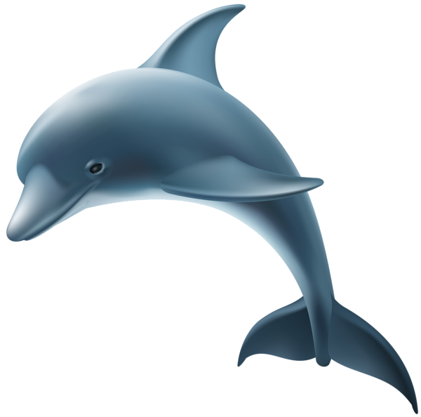 Digital Blue Dolphin Pictures Free Download PNG Transparent Background ...