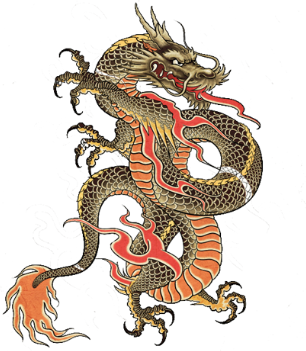 Dragon Tattoos PNG Vector Images with Transparent background ...