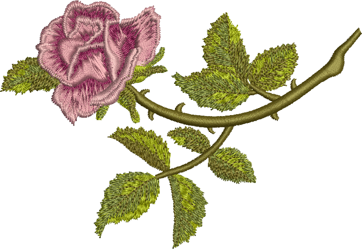 Rosa Embroidery PNG Transparent Background 730x502px - Filesize ...