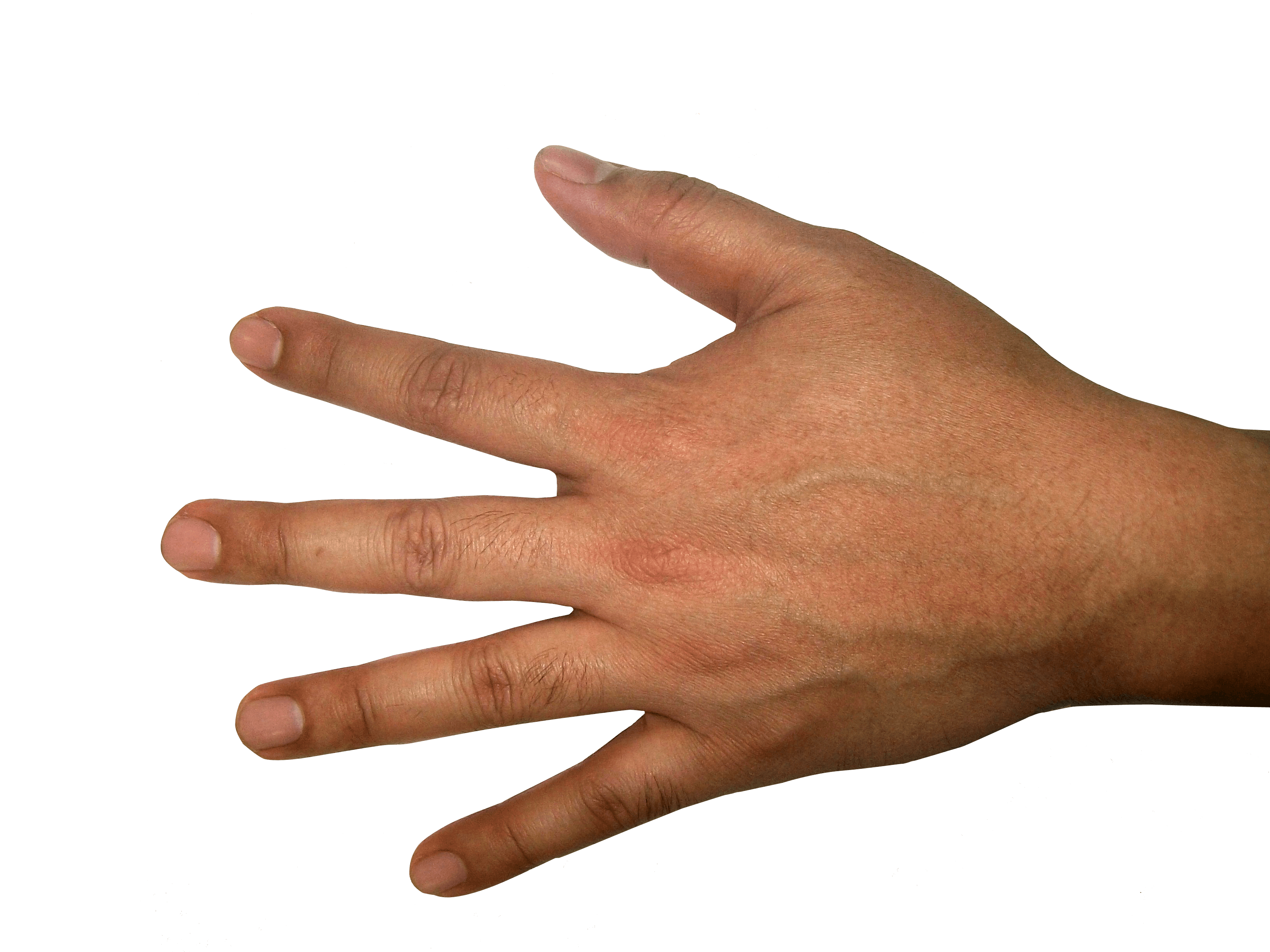 download-hands-finger-hand-image-png-transparent-background-3264x2448px