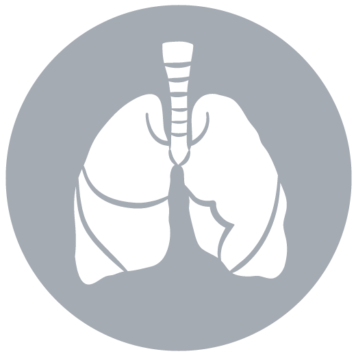 Images Lung Icon Png Transparent Background 520x520px - Filesize 