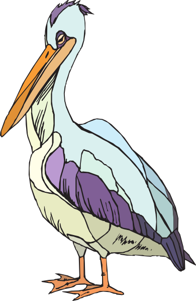Colorful Pelican Clip Art At Pictures PNG Transparent Background ...