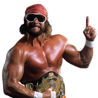 Randy Savage Photos PNG Transparent Background 200x200px - Filesize ...