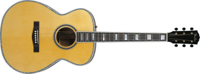 Pretty Remarkable Acoustic Guitar Png PNG Images