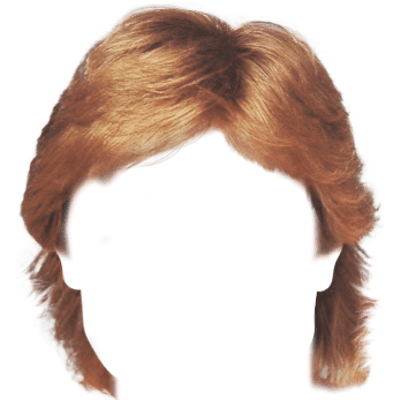Wig Afro Poof Transparent Png PNG Images