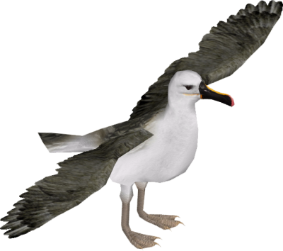 Broad-winged Albatross Png Free Download PNG Images