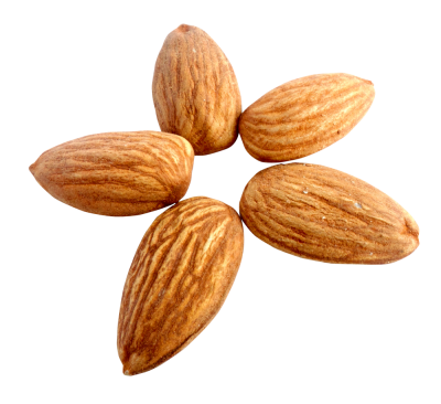 Arrayed In The Form Of Transparent PNG Image Download Picture Five Chichewa Almond PNG Images