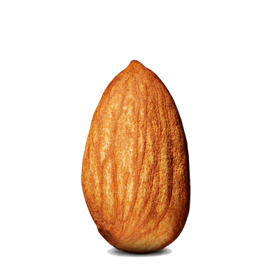 Transparent PNG Photo Download One Steep Almond PNG Images