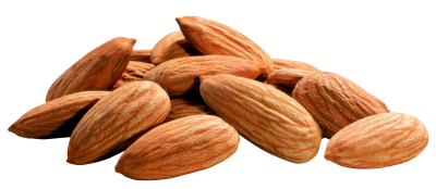 Almond Transparent PNG Image, Free Download PNG Images
