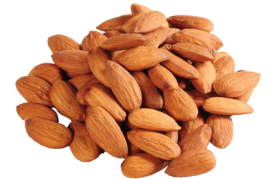 Much, Too, Little Almond Image Png Image, Free Download PNG Images