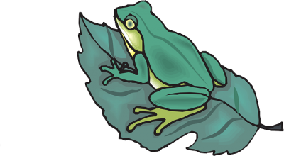 Leaf On Top Of Amphibious Frog Clipart, Frog Drawing, Drawing Sheets, Cartoon PNG Images