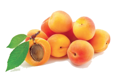 Fresh Apricots Photo PNG Images