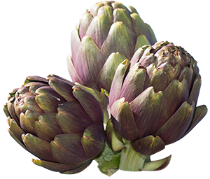 Artichokes Vegetable Meal Cut Out PNG Images