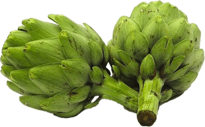 Green Artichokes Clipart PNG Photos PNG Images