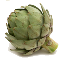 Artichokes Sliced Simple PNG Images