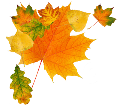 Download Autumn Free Png Transparent Image And Clipart