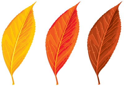 Autumn, Spring, Winter, Seasons, Leaf, Clip Art PNG Images