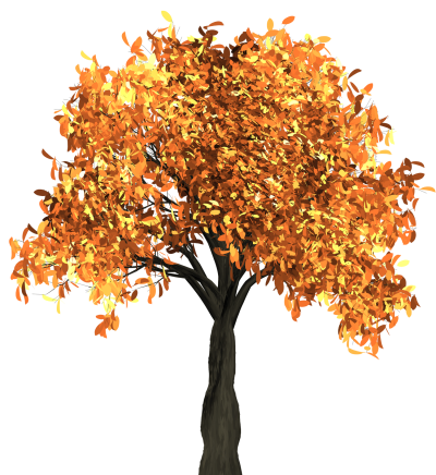 Download AUTUMN Free PNG transparent image and clipart