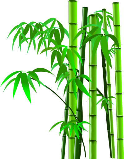 Transparent Image Bamboo, Grain, Plant Species, Tree Varieties PNG Images