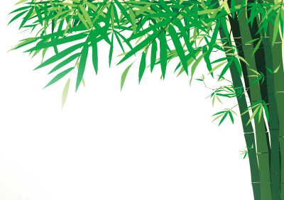 Bamboo Png Images Free Download PNG Images