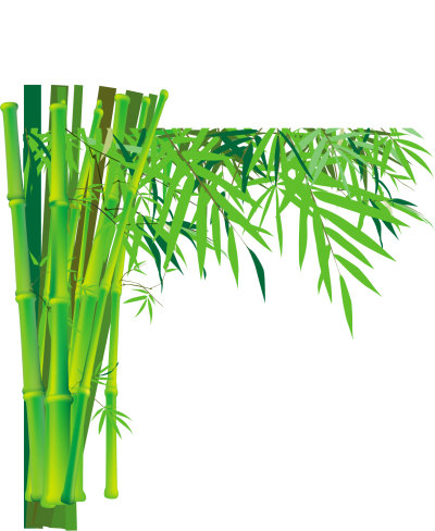 Bamboo PNG Vector Images with Transparent background - TransparentPNG