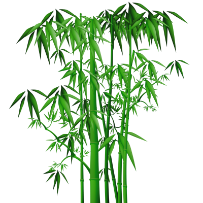 PNG Leaves Drooped Green Pictures Of Bamboo Trees, Water, Straw, Tree Trunk PNG Images