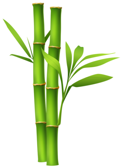 Green Leaved Bamboo Plants Clipart PNG Images