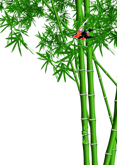 PNG Green Red With A Butterfly On Bamboo Plants, Home Decor, Use Of Bamboo PNG Images