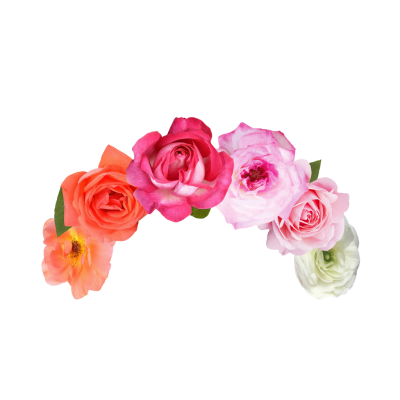 Band Flower Cut Out Png PNG Images