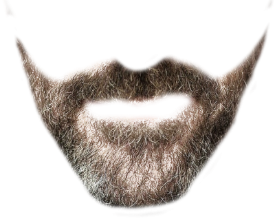 Beard Transparent Picture PNG Images