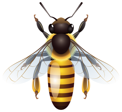 Digital Golden Honey Bee Png Clipart Hd Background PNG Images
