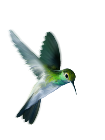 Green Flying Bird Cartoon Clipart, Wing, Beaked, Feather PNG Images