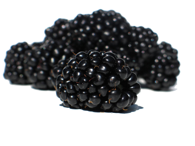 Blackberry Fruit Wonderful Picture Images PNG Images