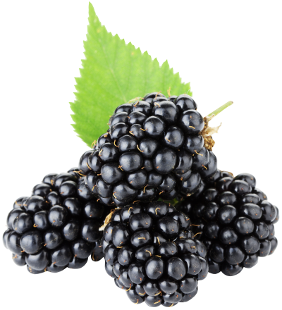 Food, Aroma, Black Mulberry, Blueberry, Blackberry Fruit Png Clipart Photo PNG Images