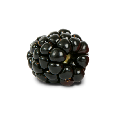 One Piece Blackberry Fruit Transparent Png Photo Download, Strawberry, Food, Flavor PNG Images