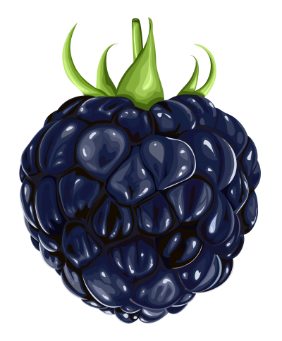 Plant, Blackberry Fruit Clipart Transparent Image PNG Images