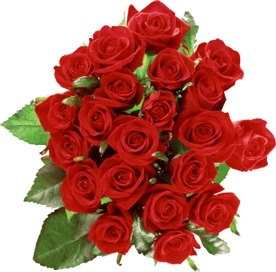 Red Rose Bouquet Pictures PNG Images