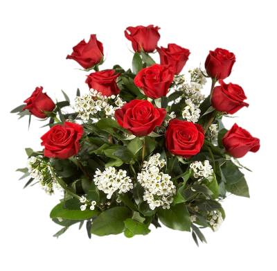 White And Red Rose Bouquet Picture PNG Images
