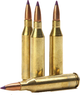 Strong Gold Bullets Png Clipart PNG Images