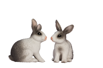 Bunny Accessories Transparent Png PNG Images