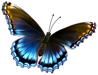 Download Amazing Butterfly Png Image PNG Images