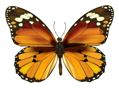Yellow Butterfly Clipart PNG Images
