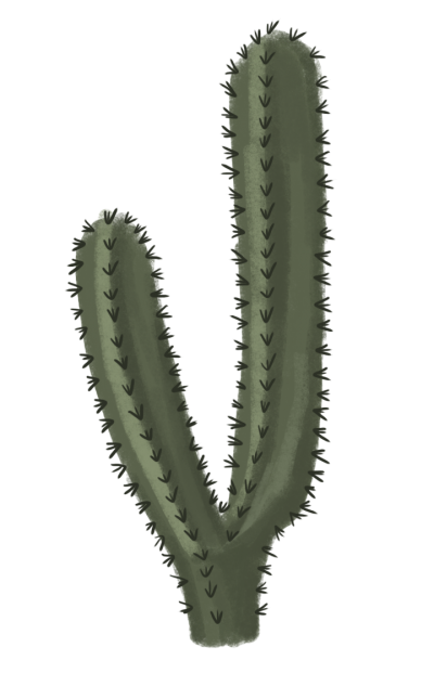Download Cactus Free Png Transparent Image And Clipart