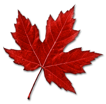 Red Canadian Maple Leaf Png PNG Images