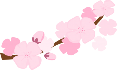 Cherry Blossom Wonderful Picture Images PNG Images
