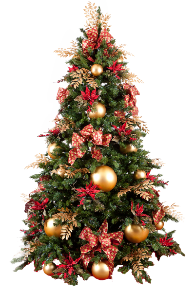 Christmas Tree Photo Png HD PNG Images
