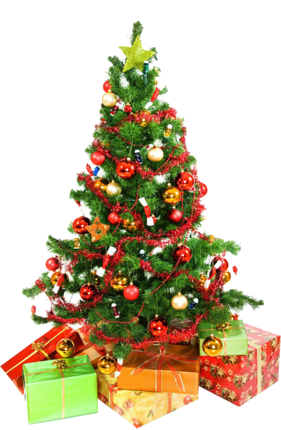 Christmas Tree PNG Images PNG Images