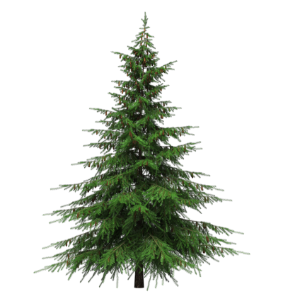 Christmas Tree Transparent PNG Images