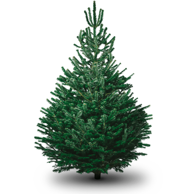 File Christmas Tree Clipart PNG PNG Images